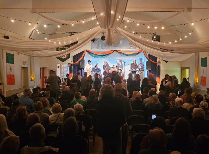 May be an image of 1 person, harp, violin, accordion and crowd