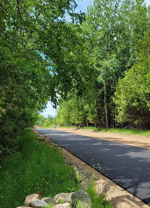 May be an image of road, grass and tree